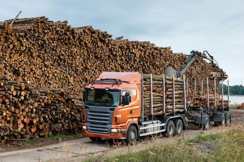 Logging Trucks, Wood Truck